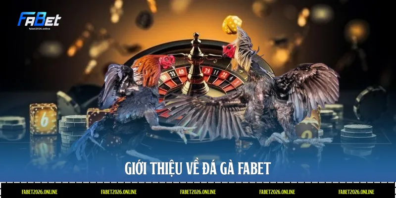 Giới thiệu về đá gà Fabet