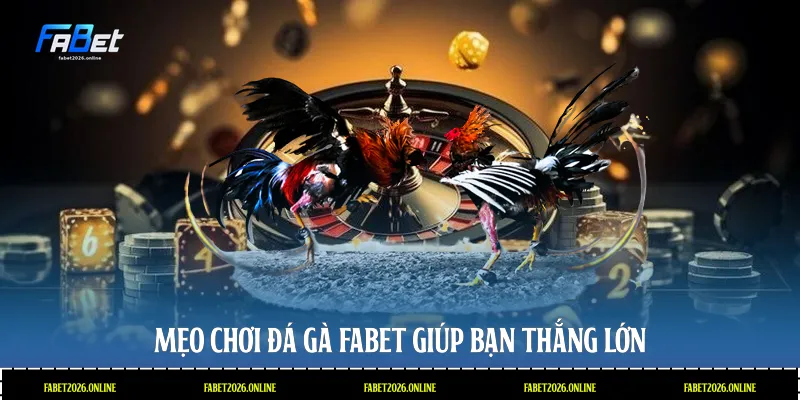 Mẹo chơi đá gà Fabet giúp bạn thắng lớn